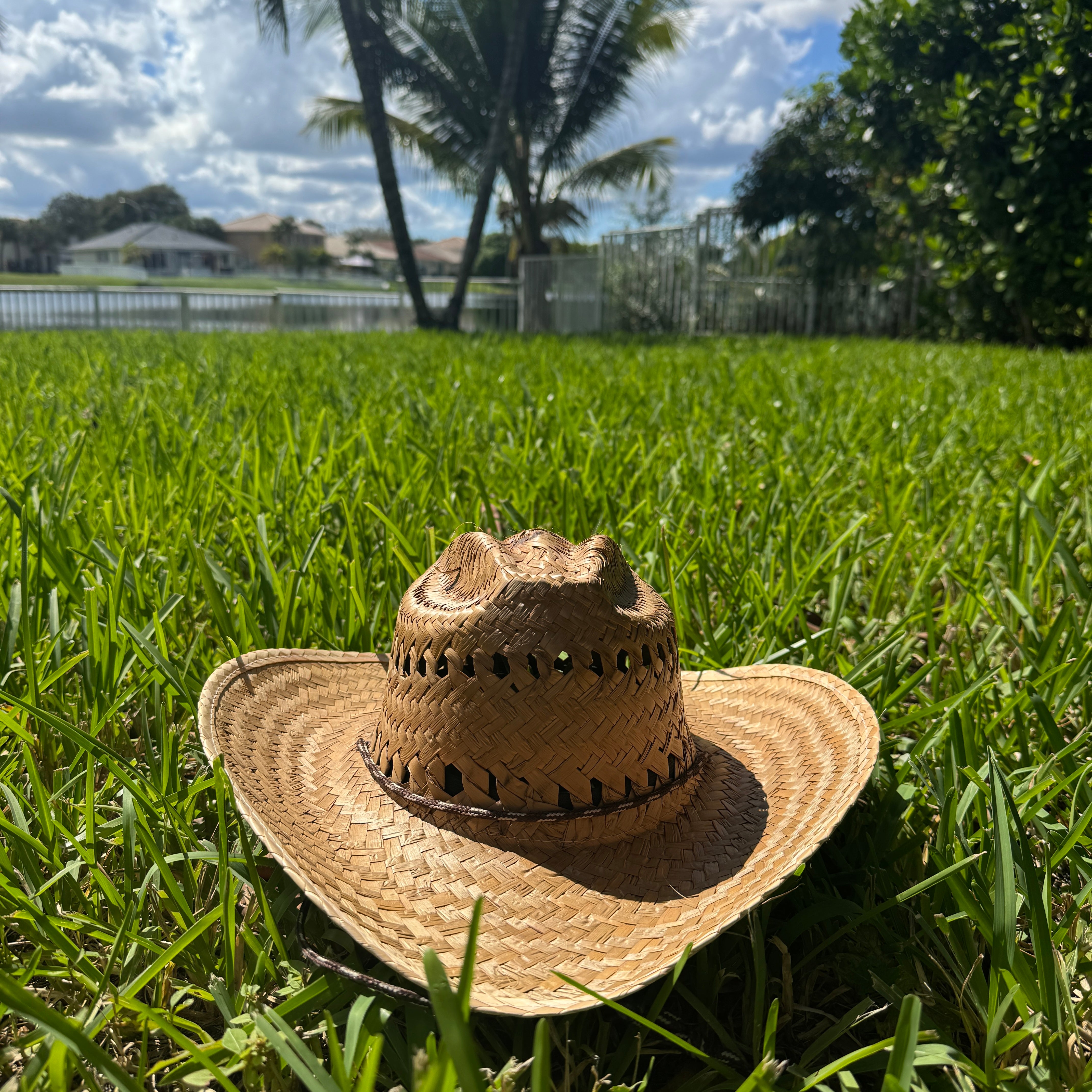 Julian - Palm Up Brim Hat