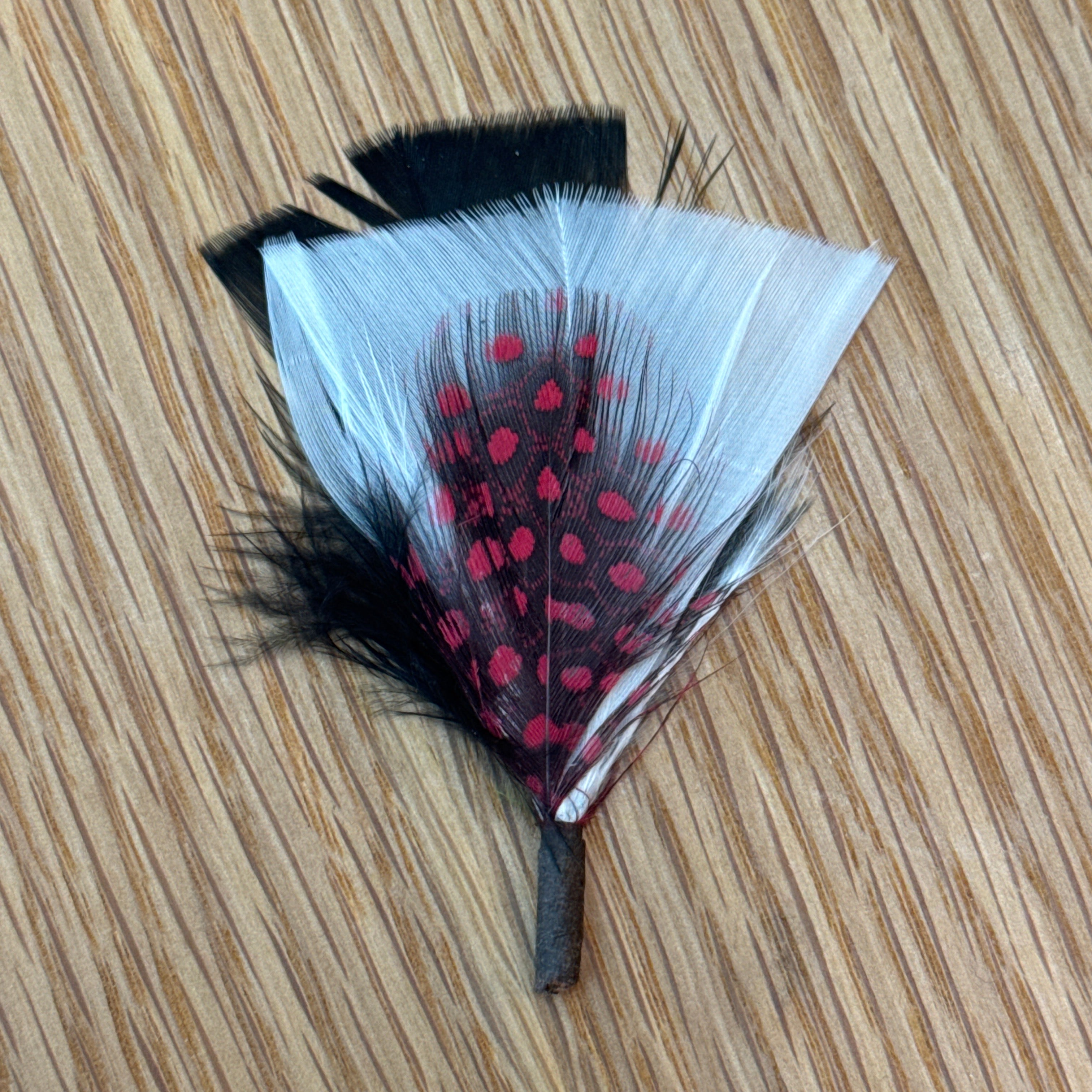 San Diego - Hat Feather